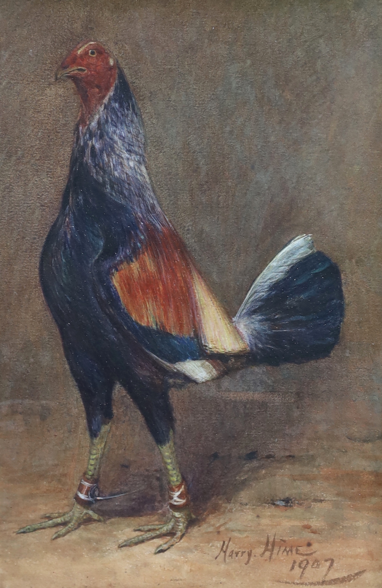 Harry T. Hine (British, 1845-1941), Fighting cocks, watercolours, a near pair, 23 x 17cm and 24.5 x 17cm